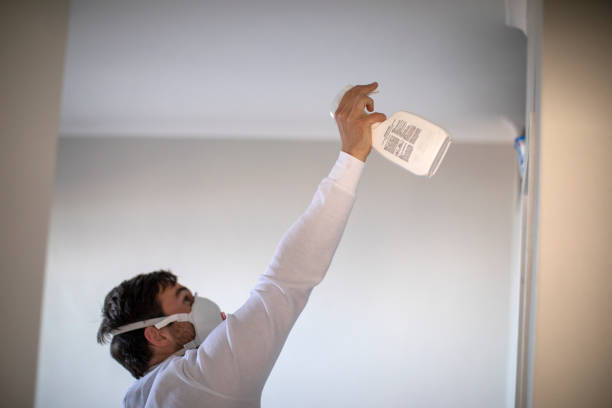 Best Residential Mold Removal  in Middletown, CT