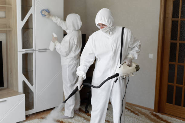 Best Home Mold Removal  in Middletown, CT
