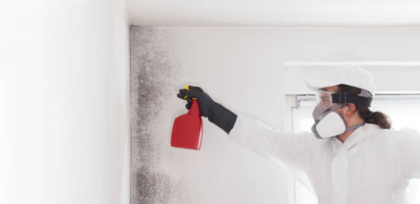 Best Mold Testing  in Middletown, CT