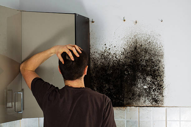 Best Crawl Space Mold Removal  in Middletown, CT